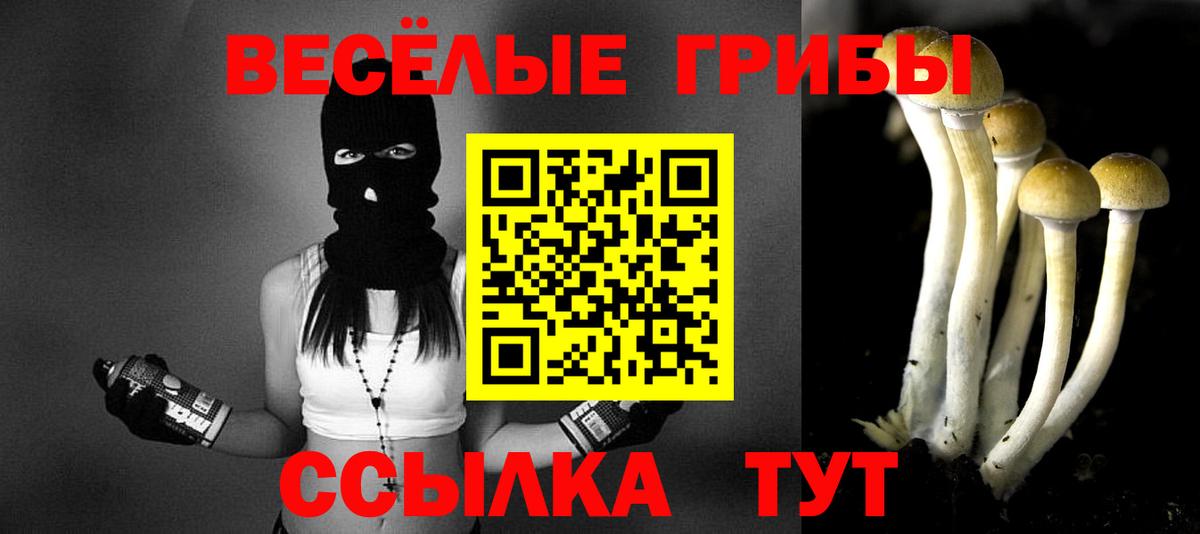 Тельмана  Галлюциногенные грибы Psilocybe  Вход с VPN 